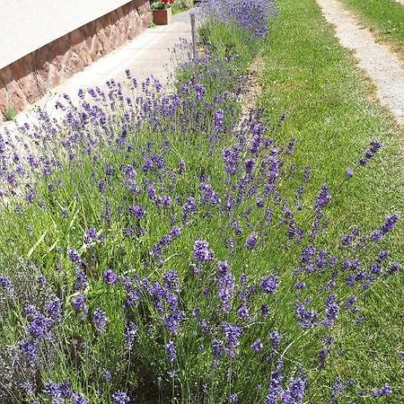 Kis Haz Apartman Zalacsány Exteriér fotografie